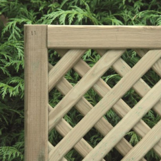 Trellis