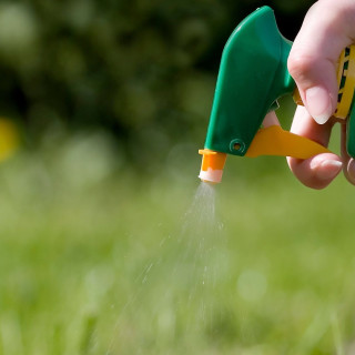 Weed Killers